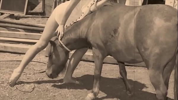 Wild Women Get Some Equine Action