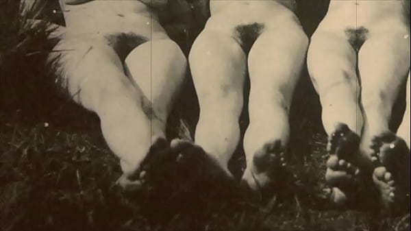 Old School Bush: Vintage Pussy Action